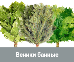 Венники банные